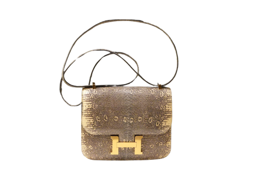 Hermes Constance 18 Varanus Niloticus Ombre