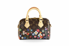Louis Vuitton x Takashi Murakami Speedy