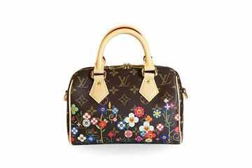 Louis Vuitton x Takashi Murakami Speedy