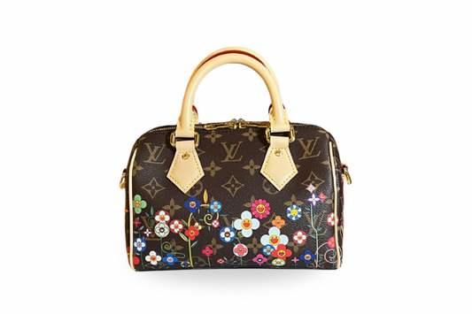 Louis Vuitton x Takashi Murakami Speedy