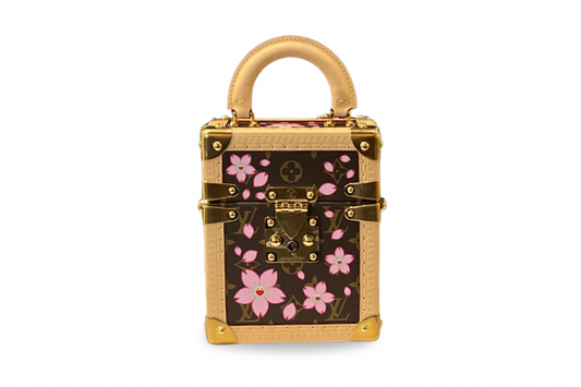 Louis Vuitton x Takashi Murakami Camera Box