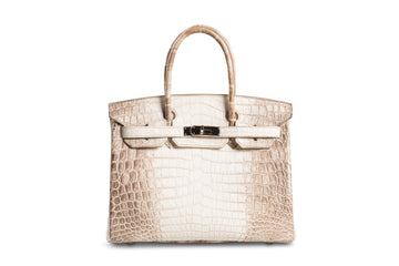 Hermes Birkin 30 Niloticus Himalaya
