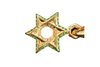 Chrome Hearts Star Of David Pendaint Emerald K22 Roll Chain 20Inch