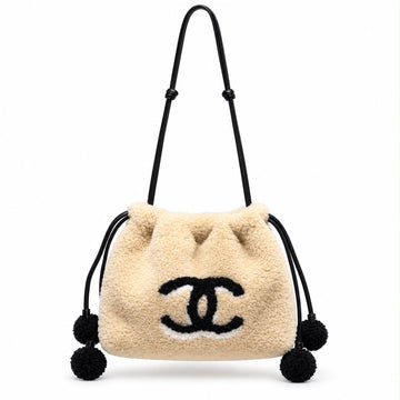 Chanel Coco Neige small Bag